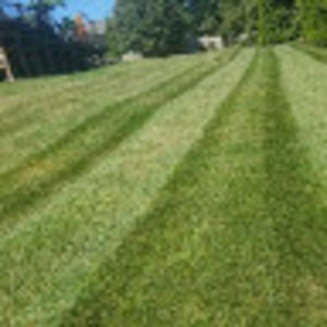 Meet your Posher, Ernestino